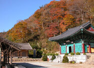 관음사 (觀音寺) 