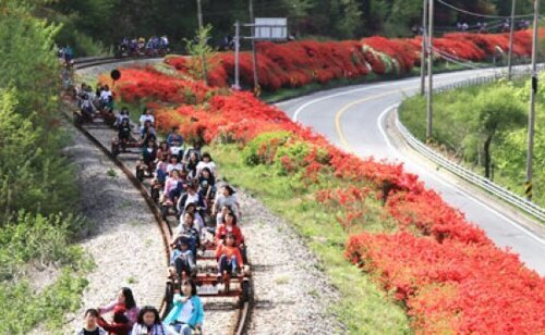 곡성섬진강레일바이크 타러오세요~