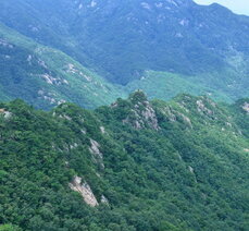 동악산