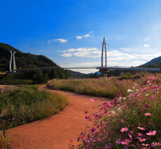 대황강 출렁다리