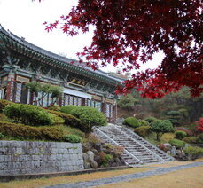 성륜사