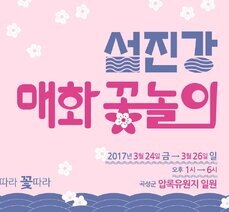 다채로운 곡성여행, 이번엔 ♣매화꽃놀이♣입니다!