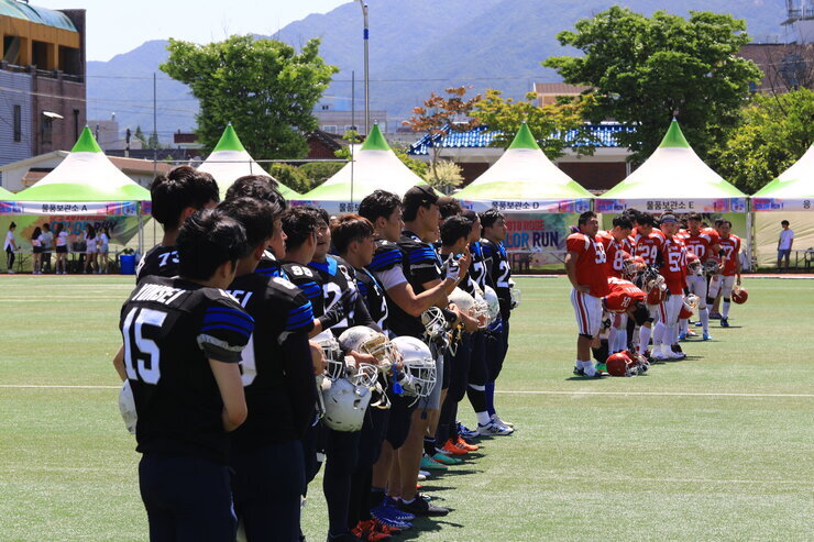미식축구 (연,고전)