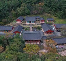도림사