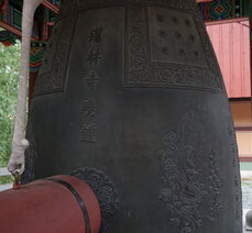 도림사