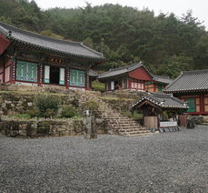 도림사