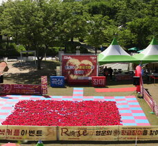 제9회 곡성세계장미축제