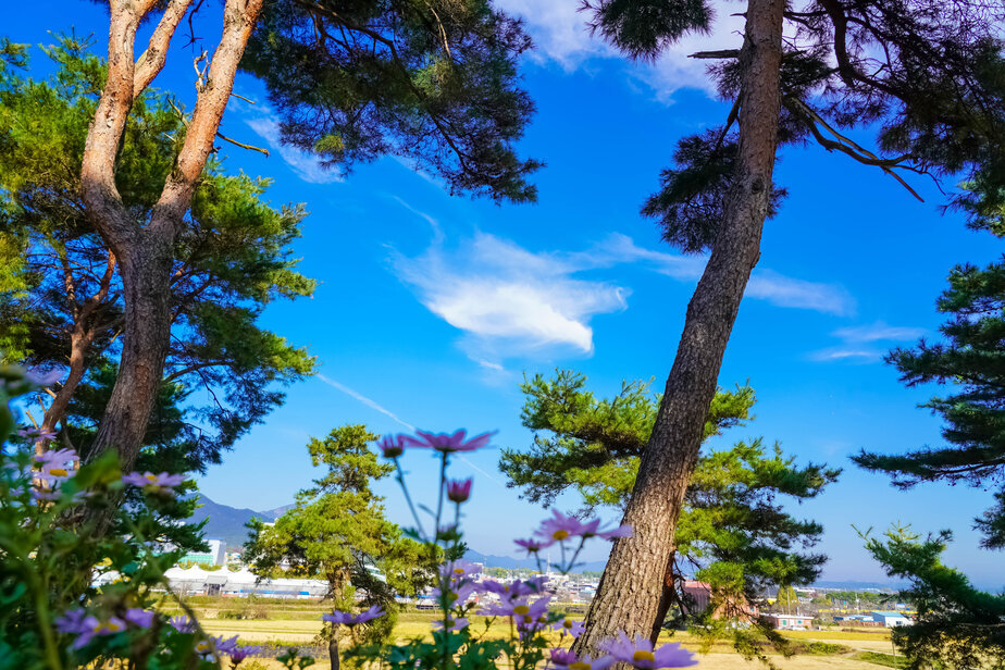 충의공원에서 바라본 하늘