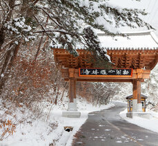 곡성 설경의 원픽은 도림사 