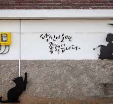 [5월] 세계장미축제와 함께 곡성 가볼만한 여행지 추천 - 곡성읍 