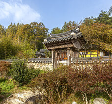 [10월] 산책로가 예쁜 산사 설산 성륜사