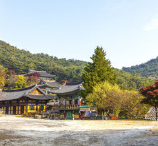 [10월] 산책로가 예쁜 산사 설산 성륜사