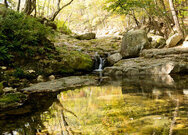 곡성 도림사계곡 (谷城 道林寺溪谷) 