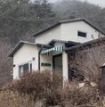 대표사진