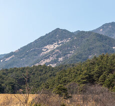 봄여행- 동악산에 그려진 한반도 지도를 찾아서