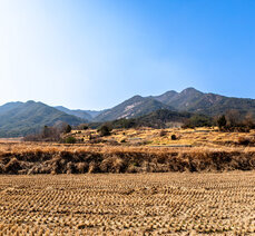 봄여행- 동악산에 그려진 한반도 지도를 찾아서