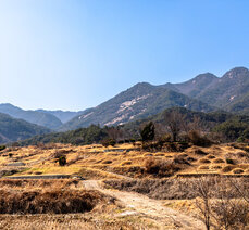 봄여행- 동악산에 그려진 한반도 지도를 찾아서
