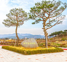 봄여행-벚꽃 흩날리는 곡성 뚝방생태공원 맨발로 걸어요.