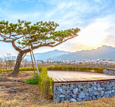 봄여행-벚꽃 흩날리는 곡성 뚝방생태공원 맨발로 걸어요.