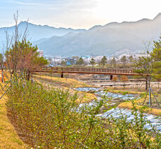 봄여행-벚꽃 흩날리는 곡성 뚝방생태공원 맨발로 걸어요.