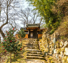 봄여행-함허정의 봄날, 심광형과 김인후의 만남