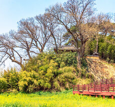 봄여행-함허정의 봄날, 심광형과 김인후의 만남