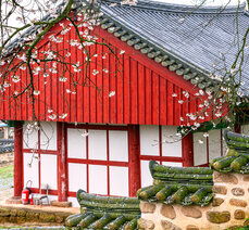 봄여행-옥과향교의 고색창연한 봄풍경 