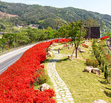 봄여행- 곡성 섬진강 철쭉길, 안전한소공원과 전망대에서 즐기세요
