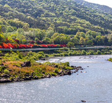 봄여행- 곡성 섬진강 철쭉길, 안전한소공원과 전망대에서 즐기세요