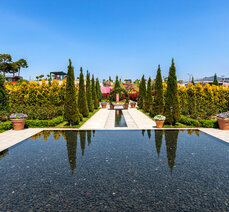 여름 여행- 기차마을 장미공원 페르시아 정원 사진 촬영법