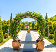 여름 여행- 기차마을 장미공원 페르시아 정원 사진 촬영법