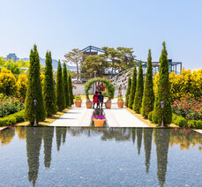 여름 여행- 기차마을 장미공원 페르시아 정원 사진 촬영법