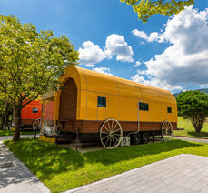여름여행- 새롭게 단장한 숲속 리조트, 곡성 도림사 오토 캠핑장