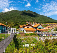 가을여행-익사이팅 도전! 대황강 강빛마을 모험시설 체험 후기