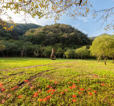 가을여행- 천년고찰 관음사에서 열린 곡성 ‘관음미소路’전시회