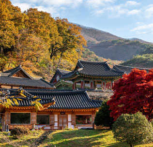 섬진강문화학교에서 사람들이 즐거운 시간을 보내는 모습
