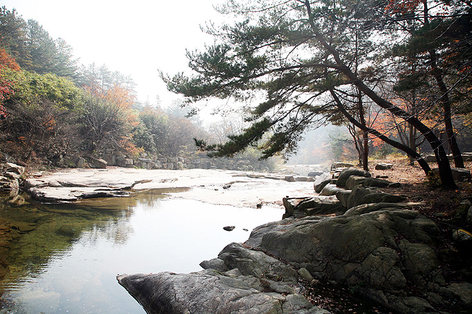 도림사오토캠핑리조트