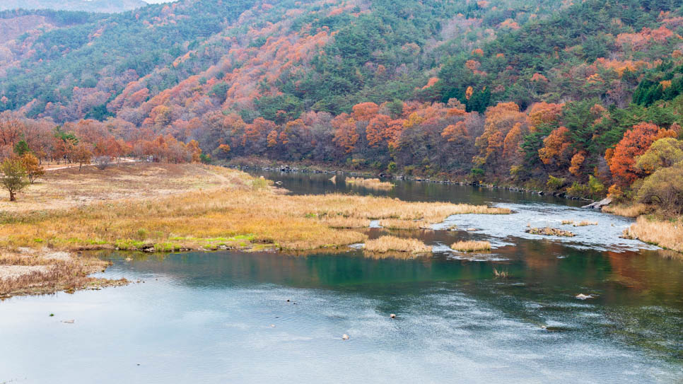 출렁다리에서 바라보는 풍경 