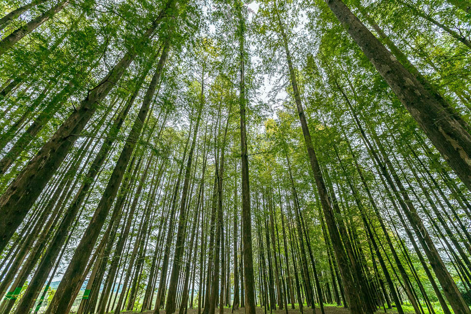 함허정 