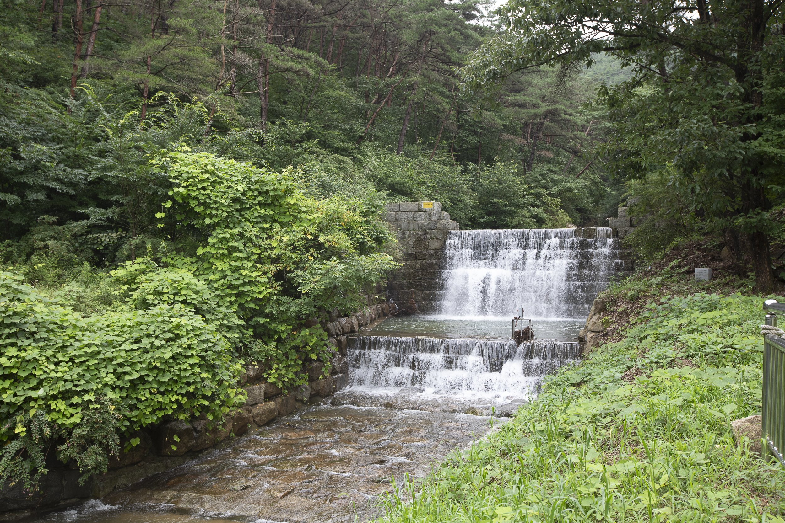 솔바람야영장
