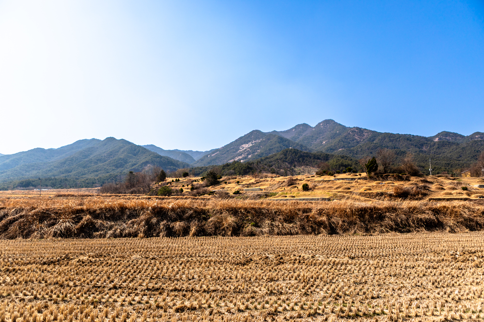 한반도 지도 원경