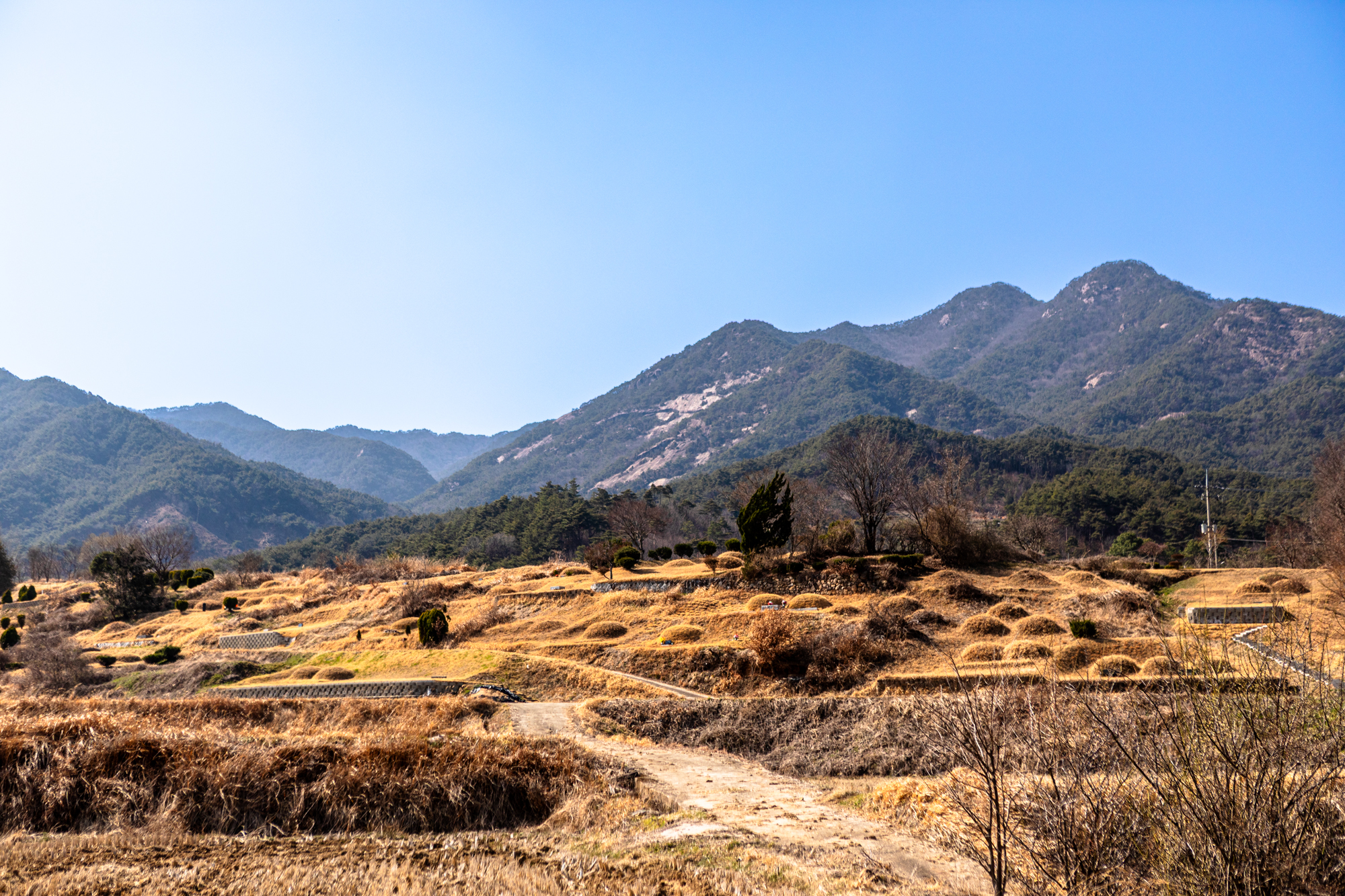 한반도 지도가 있는 장소