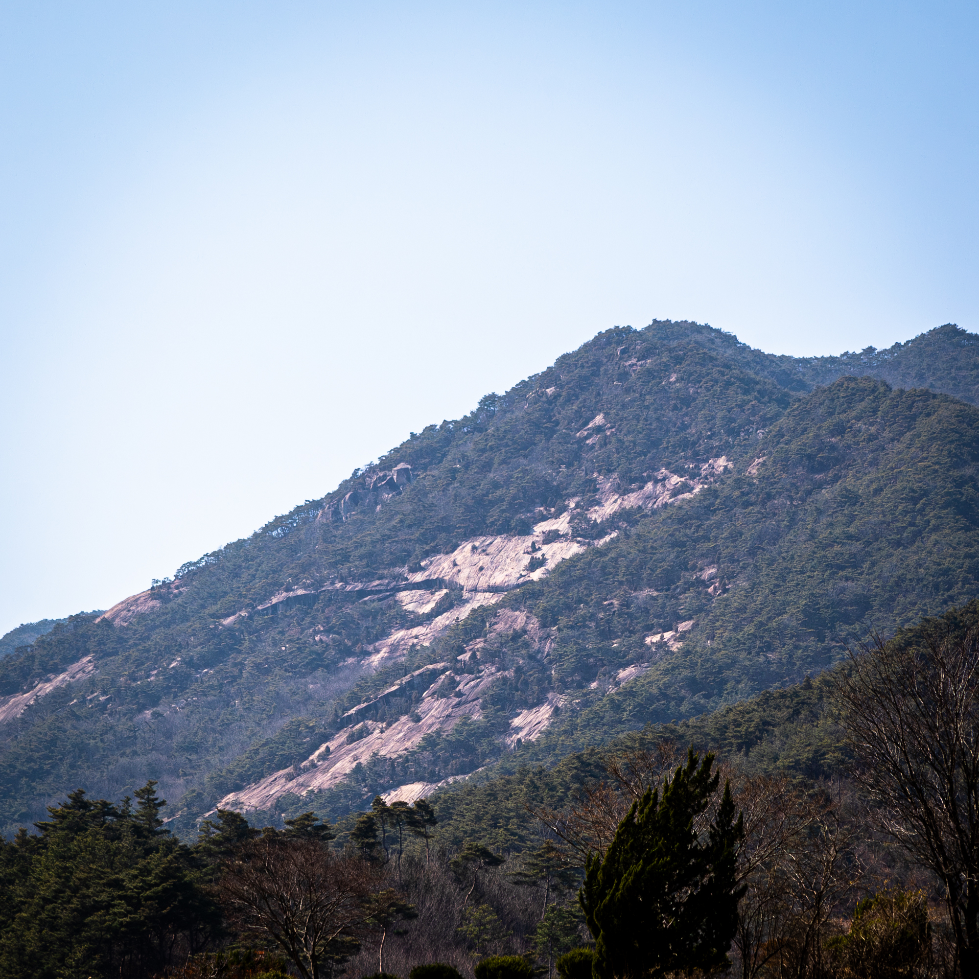 한반도 지도 망원