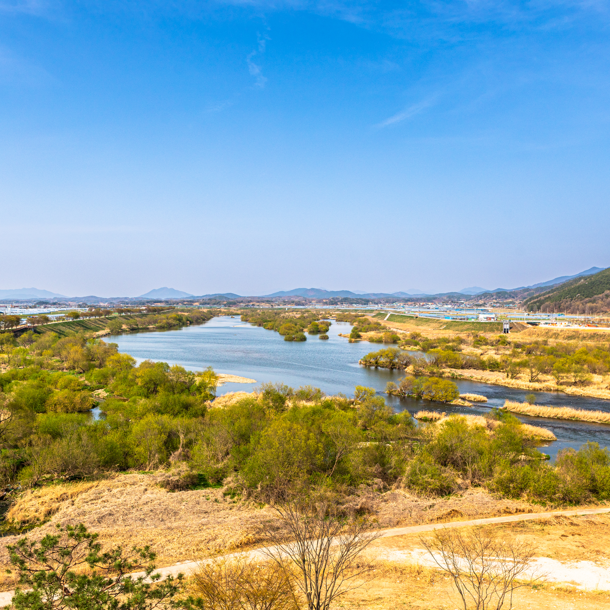 전망대에서 바라본 침실습지 