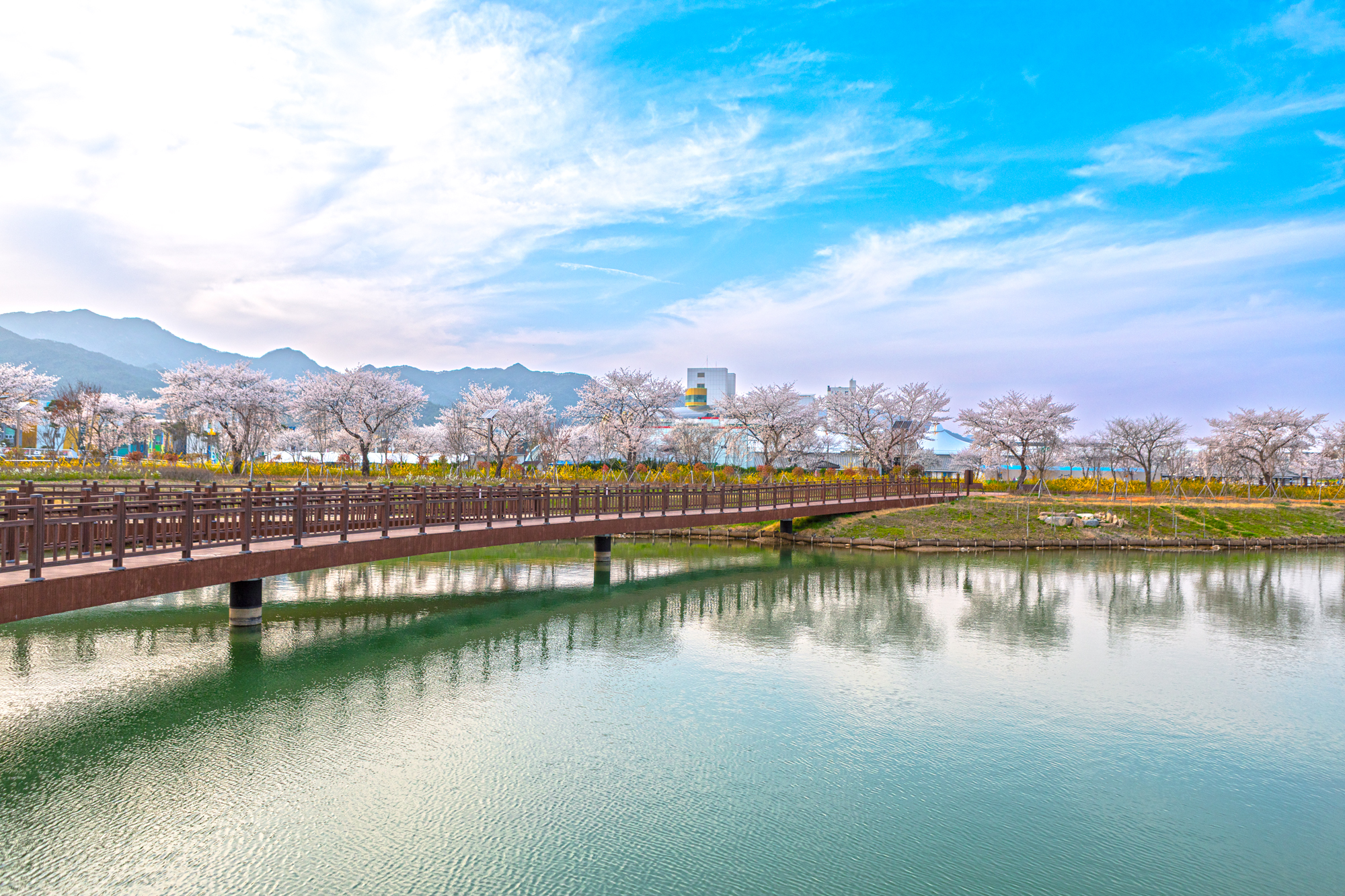 뚝방생태공원 호수