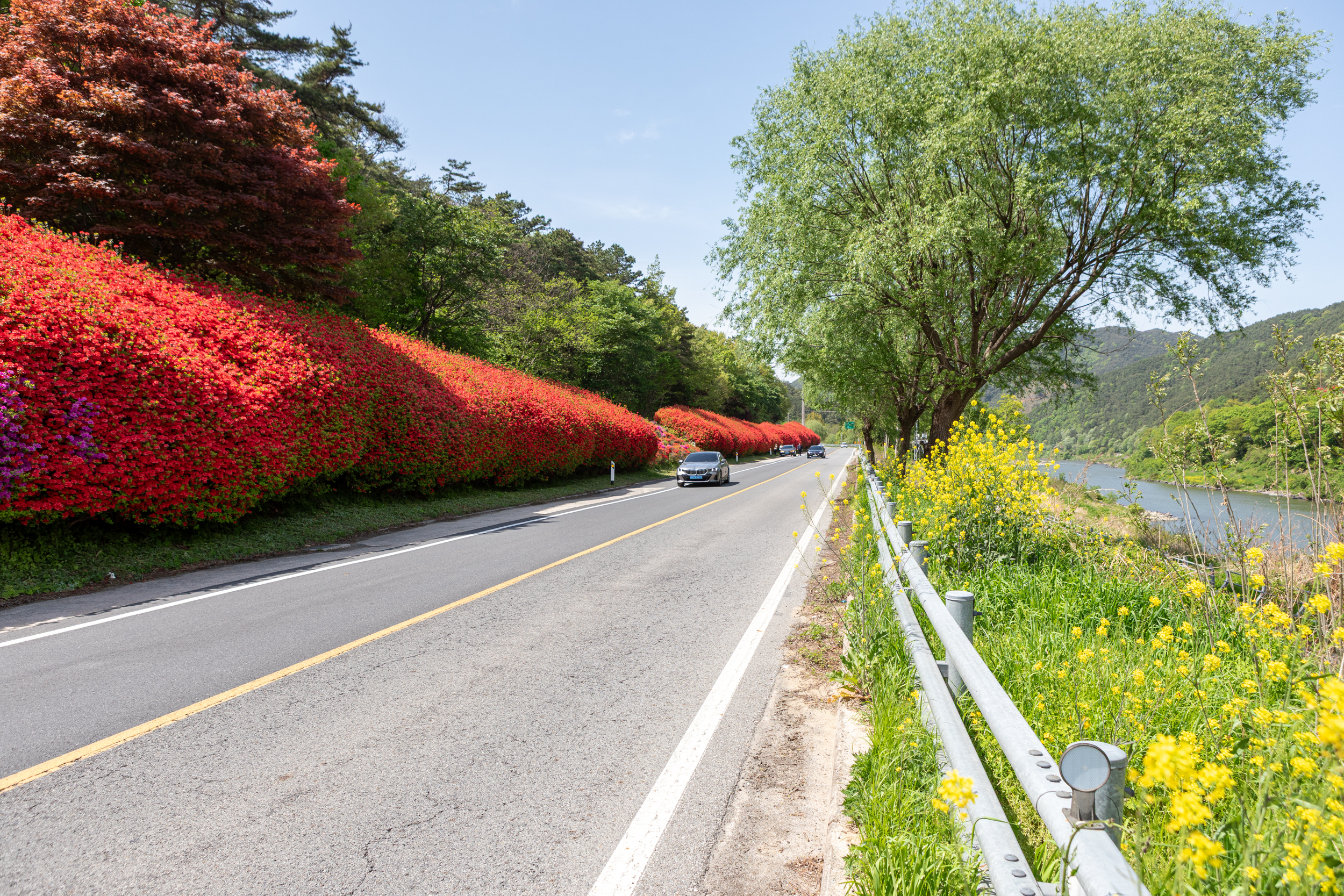 17번 국도와 철쭉길 