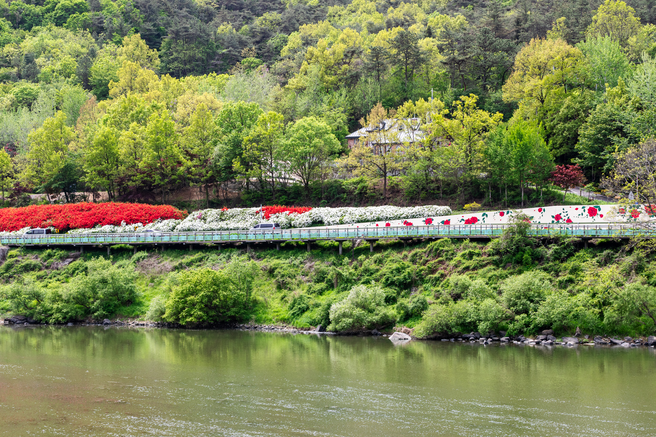 건너편에서 바라본 철쭉길 