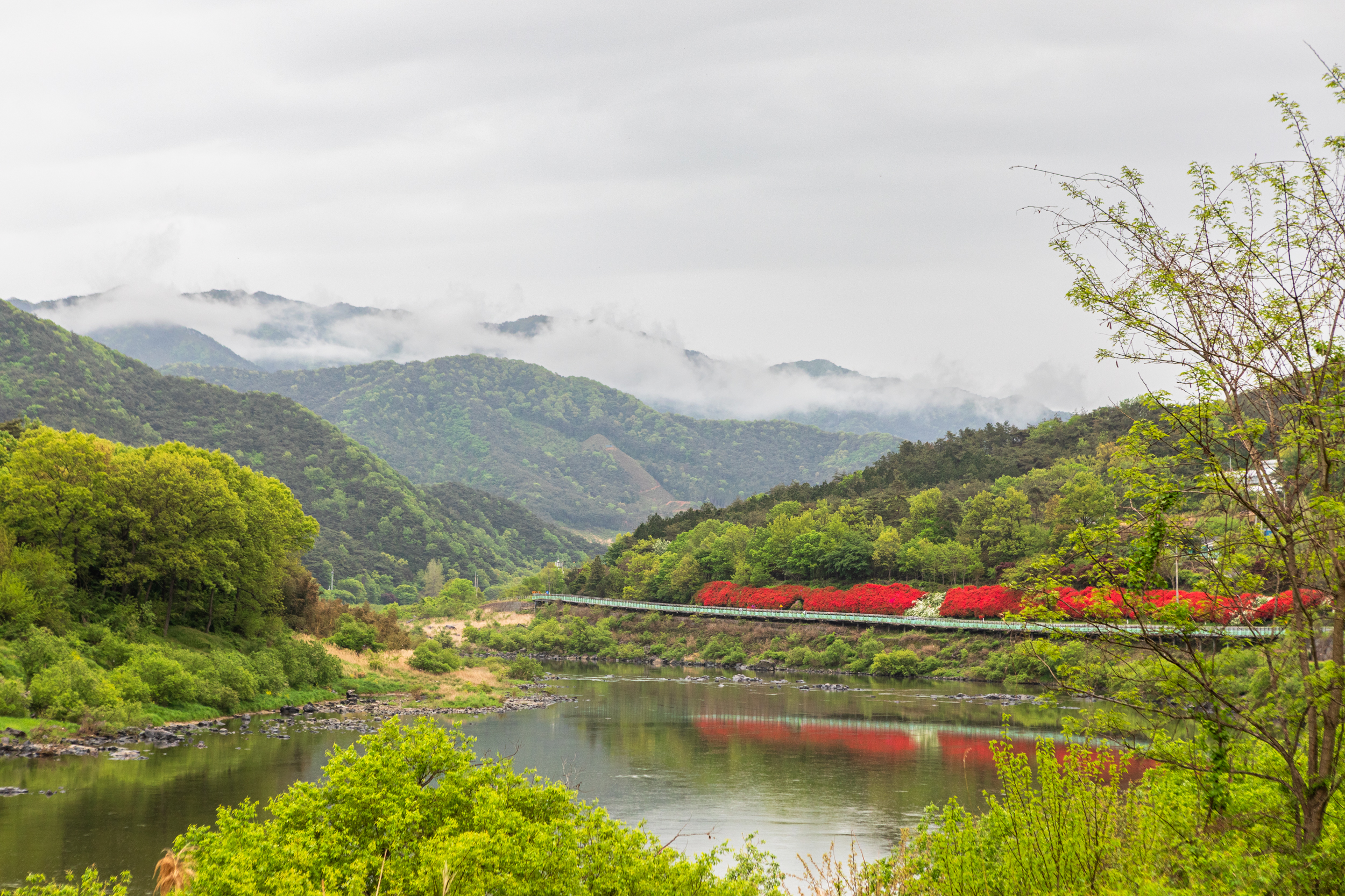 섬진강과 어우러진 철쭉길 