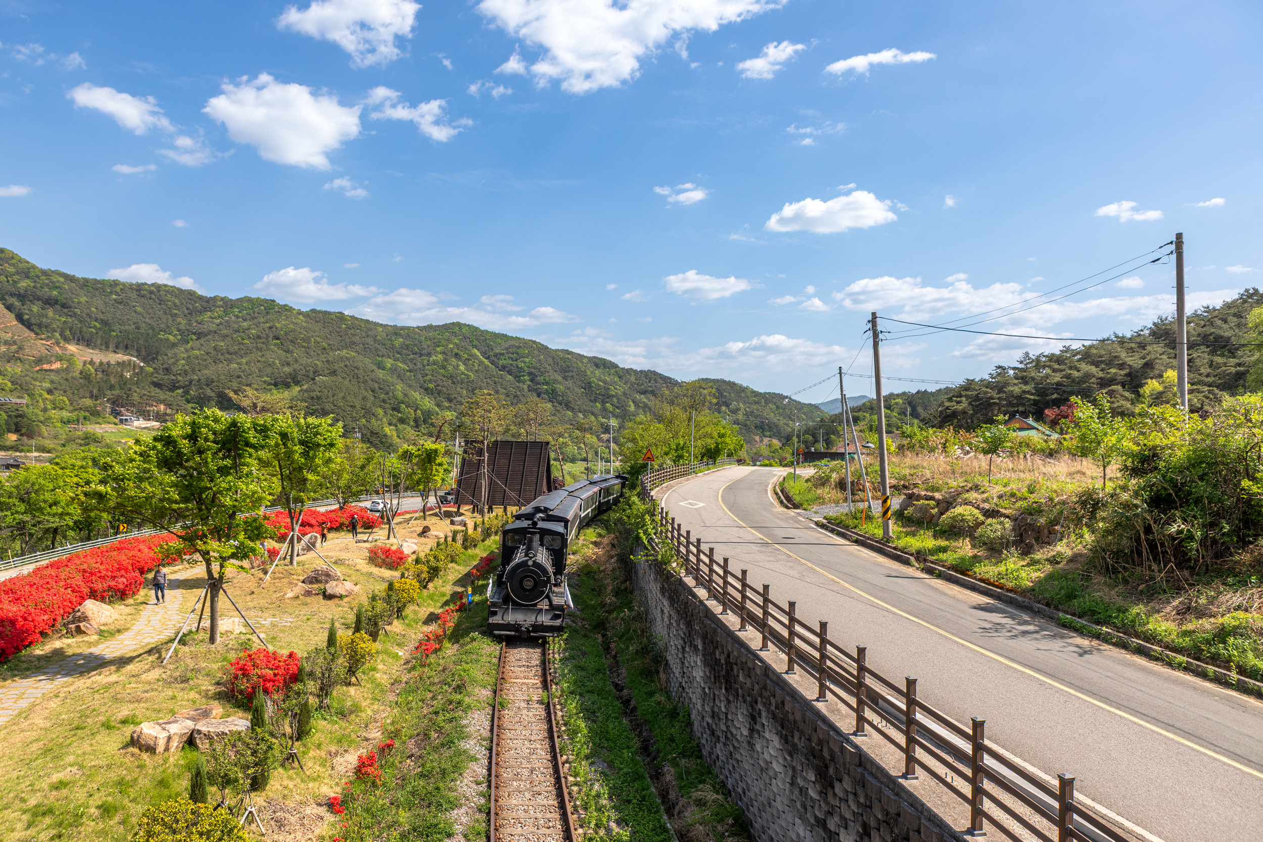 철쭉길을 달리는 증기기관차 