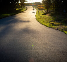 가을여행- 곡성 동화정원 황화코스모스 황금물결